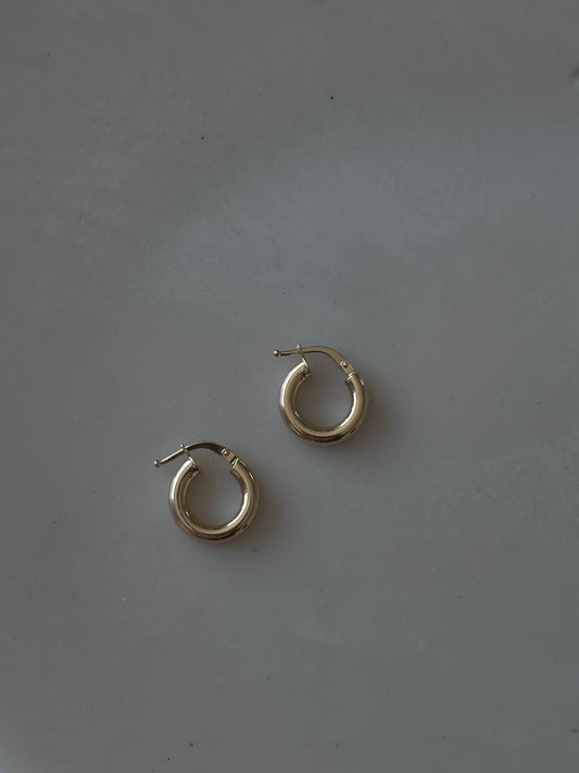 Hoop Earrings